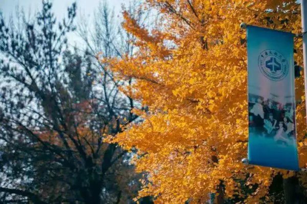 中国民航大学在哪个省份