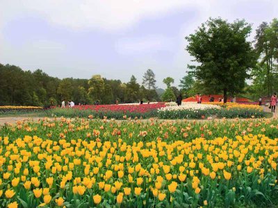 蒲江是哪个省的哪个市 四川蒲江县最有名的特产是什么