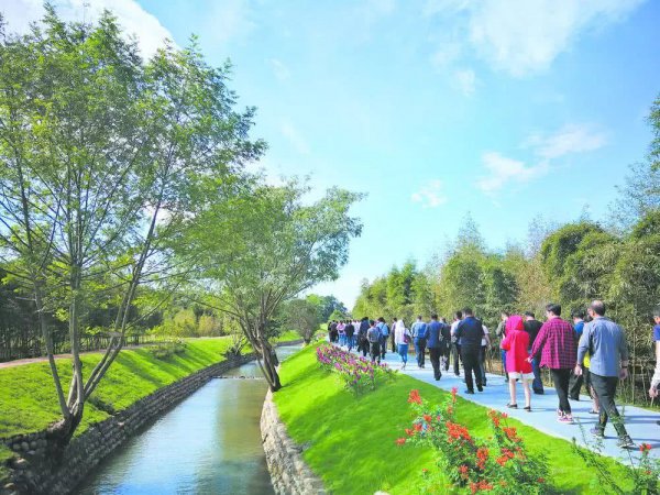 蒲江是哪个省的哪个市