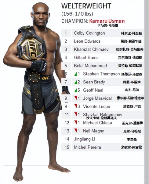 2022年最新ufc重量级排名