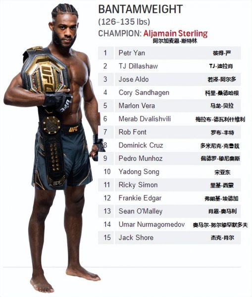 2022年最新ufc重量级排名