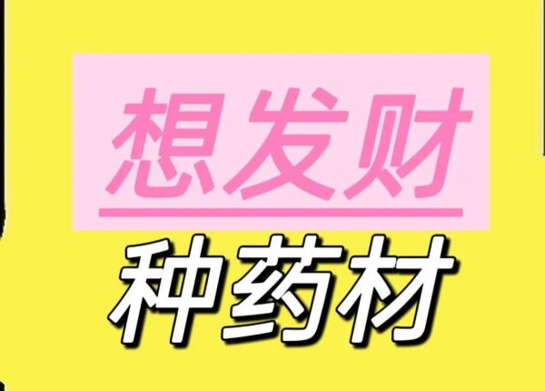 现在种植什么药材挣钱