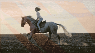 视频补帧是什么意思 pr如何补帧让画面流畅