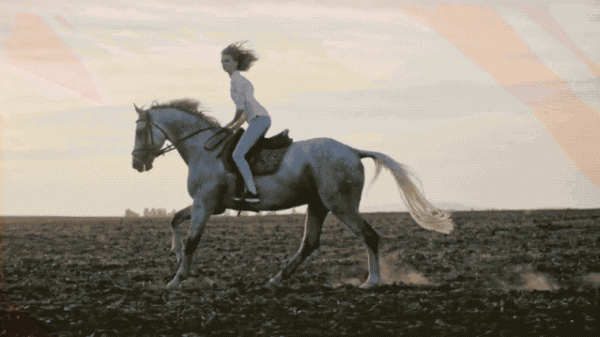 视频补帧是什么意思