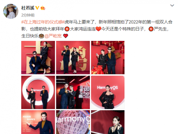 严宽老婆杜若溪介绍