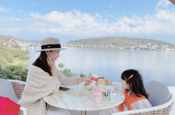 严宽老婆杜若溪介绍