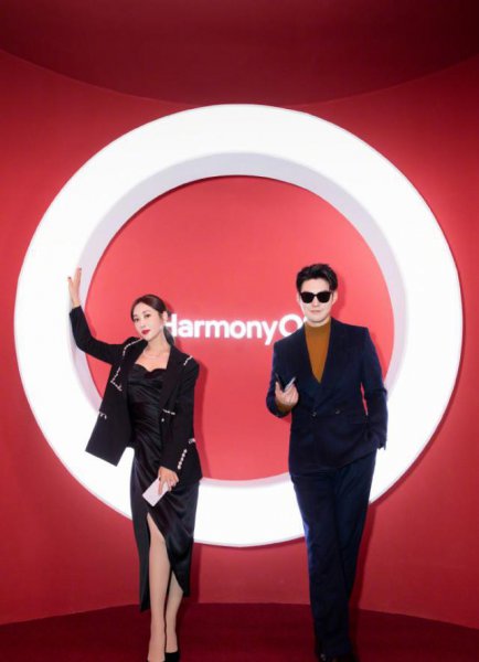 严宽老婆杜若溪介绍