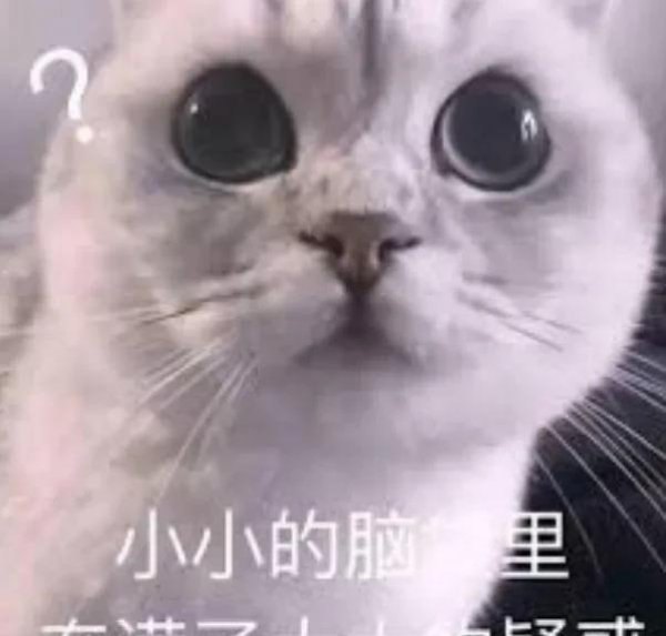 自行车为什么能保持平衡