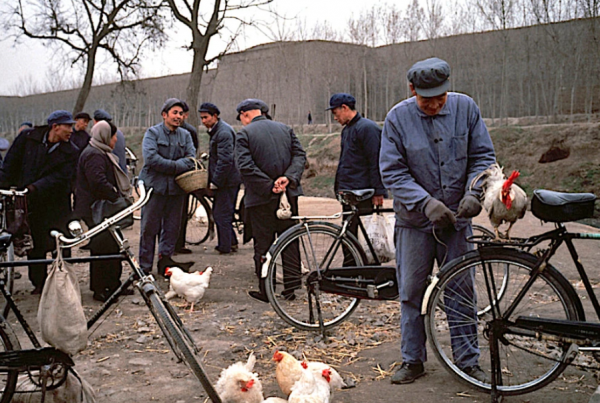 陕西有几个市辖区