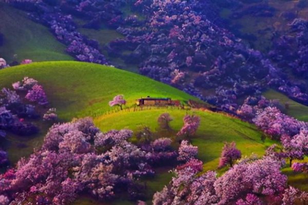 新疆属于西北地区吗