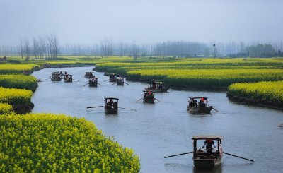 兴化是哪个省属于哪个市 江苏兴化面积人口及历史名人