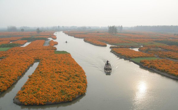 兴化是哪个省属于哪个市