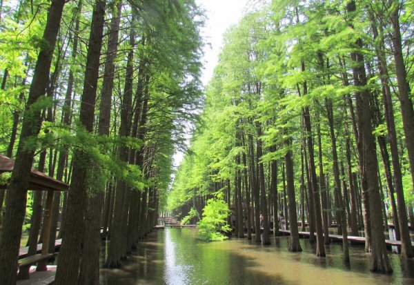 兴化是哪个省属于哪个市