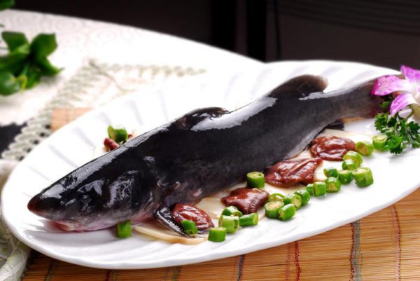 烤鱼什么鱼好吃