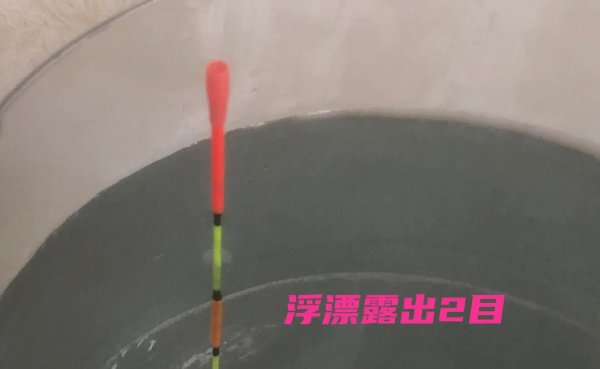 新手钓鱼调漂的正确方法