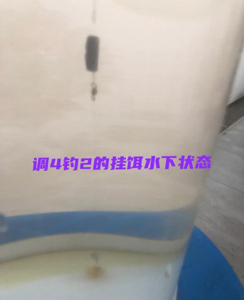 新手钓鱼调漂的正确方法