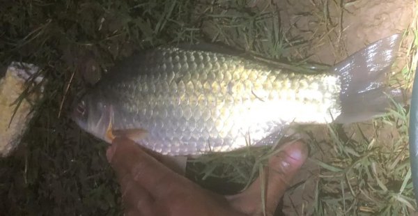 新手钓鱼调漂的正确方法