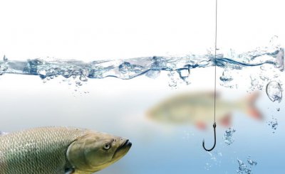 钓鱼子线多长合适 浅谈子线长短的选择依据和技巧