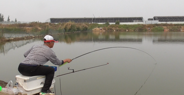 钓鱼子线多长合适