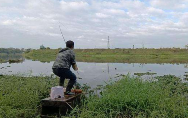 什么样的天气适合钓鱼