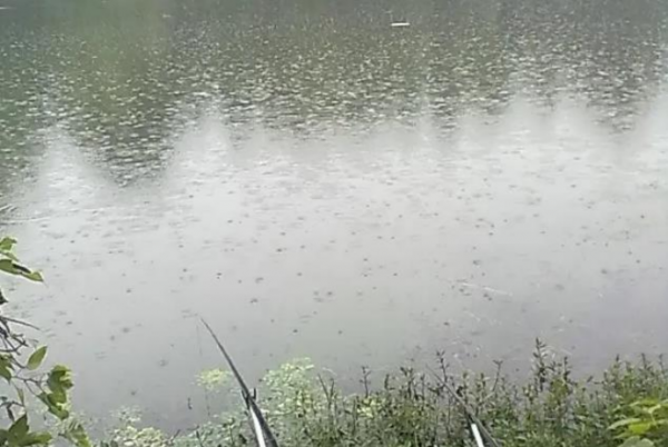 什么样的天气适合钓鱼
