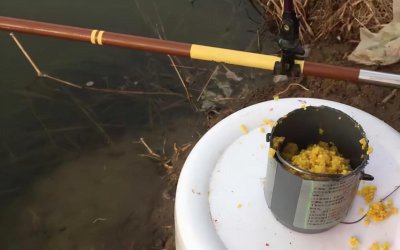 钓鱼打窝是什么意思 钓鱼打窝用什么窝料效果最好