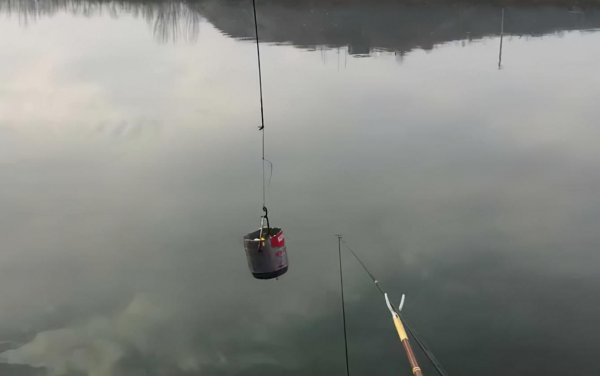 钓鱼打窝是什么意思