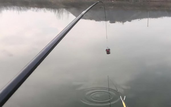 钓鱼打窝是什么意思