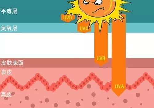 防晒衣真的有防晒效果吗