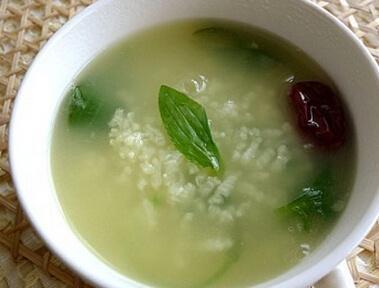 车前草有几个品种