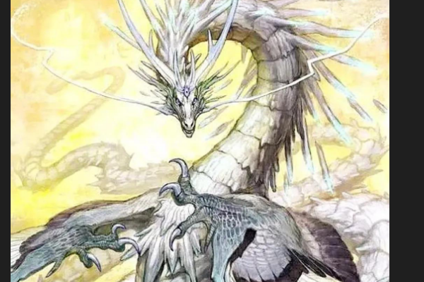 为什么老人说见过龙