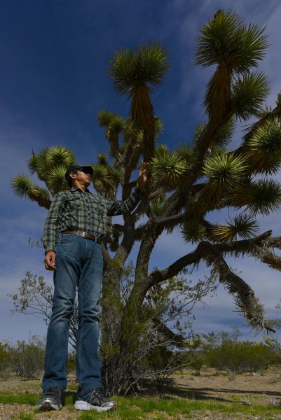 美国大峡谷叫什么名字简介