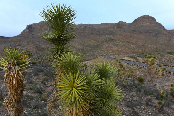 美国大峡谷叫什么名字简介