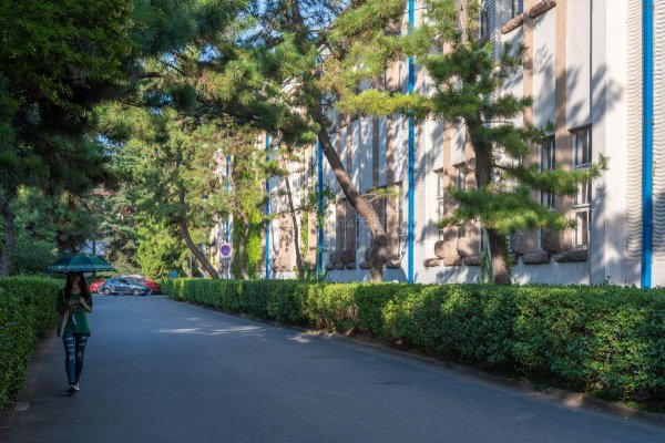 单招学费比统招贵多少