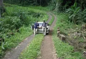 赤道几内亚是哪个国家