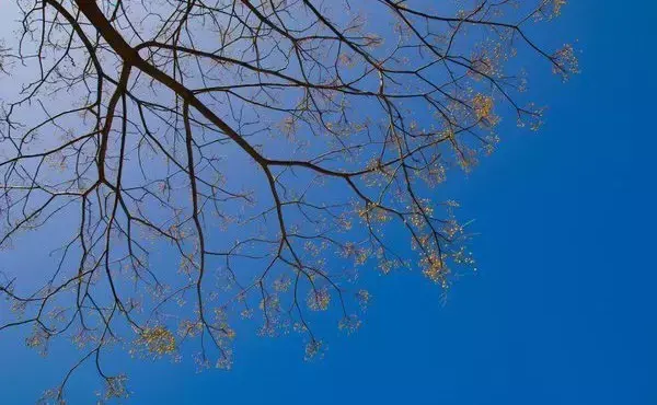 每年的二月份为什么有28天或29天