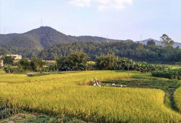 每亩土地是多少平方米