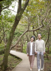 饭后走一走真的有好处吗 饭后散步的好处和缺点有哪些