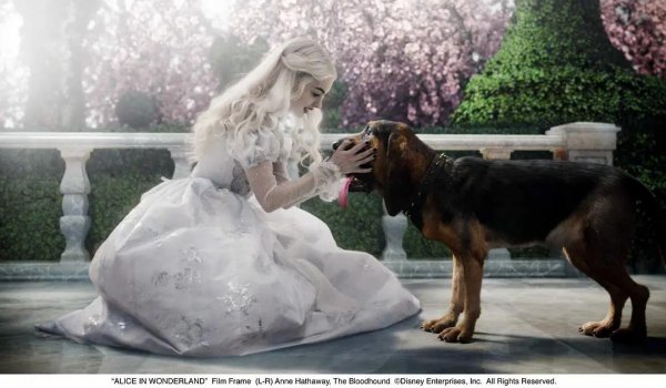 爱丽丝漫游奇境人物性格特点及艺术特色分析