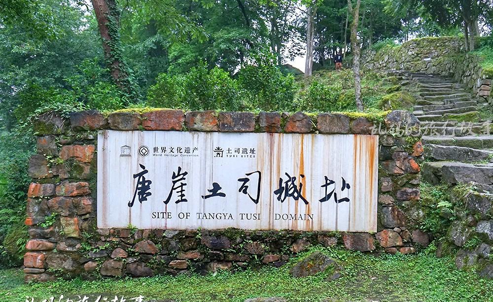 100斤阴沉木值多少钱