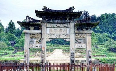 100斤阴沉木值多少钱 阴沉木为什么被誉为东方神木