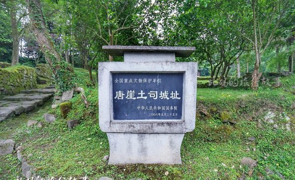 100斤阴沉木值多少钱