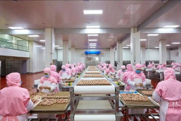 盼盼是哪个国家的品牌