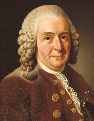 盘点被印在纸币上的伟大科学家