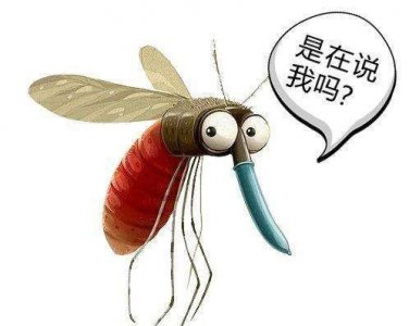 灭四害是指的哪四害 我们常说的四害的由来