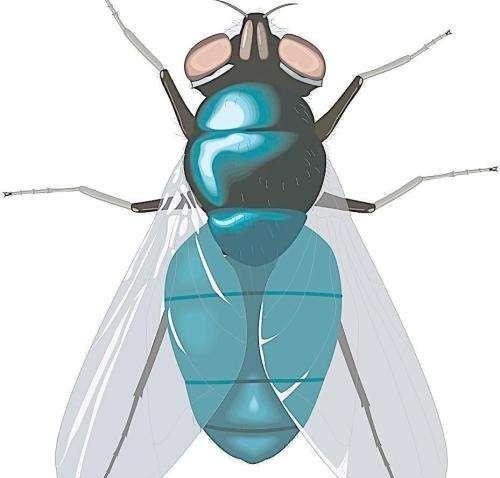 灭四害是指的哪四害