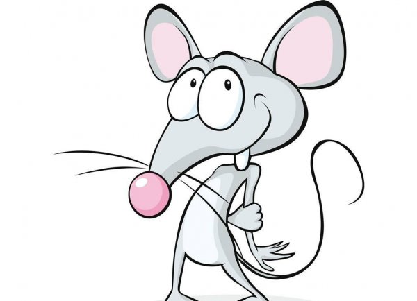 灭四害是指的哪四害