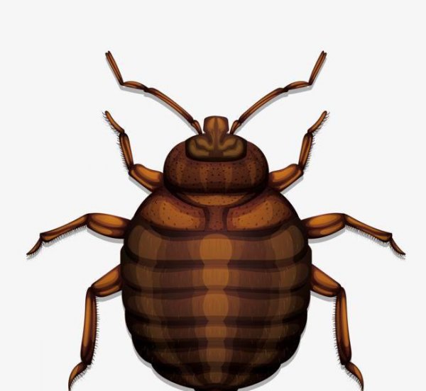 灭四害是指的哪四害