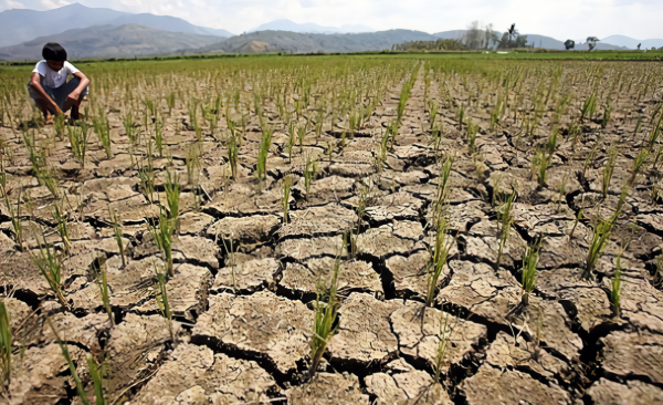 厄尔尼诺现象的成因