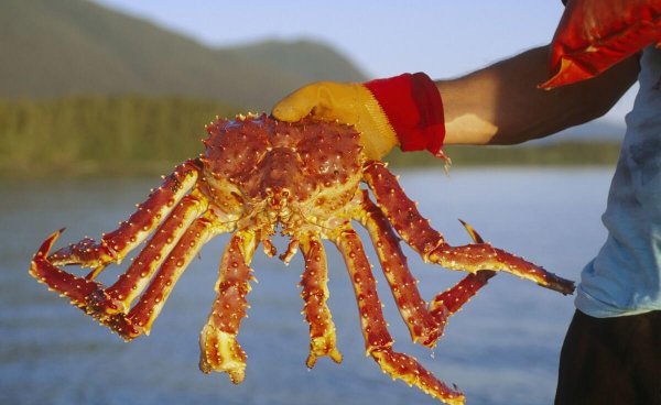 最挣钱没人干的工作